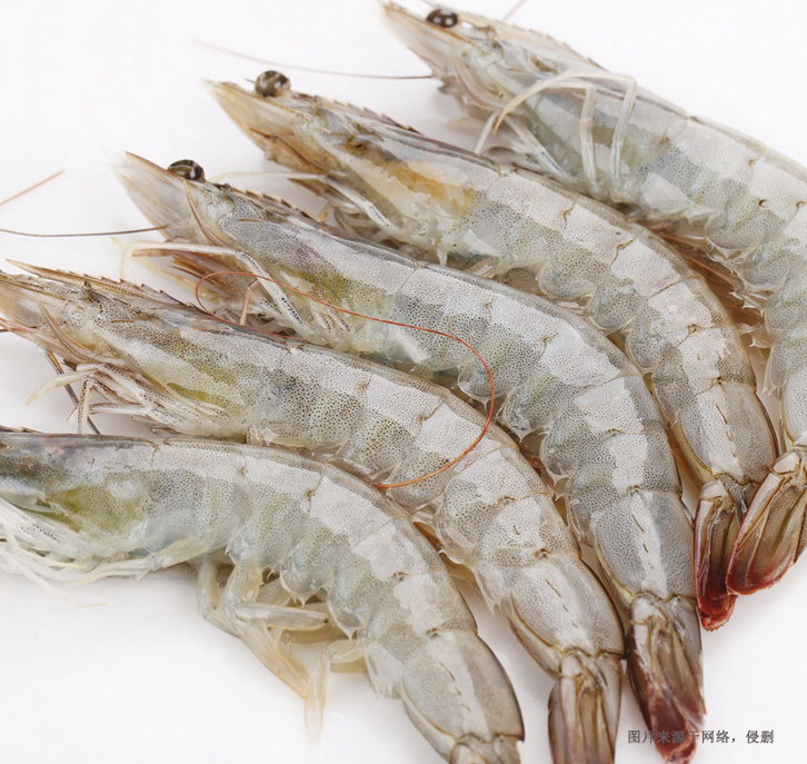 天津進口厄瓜多爾南美白蝦清關(guān)資料冷凍水產(chǎn)品案例