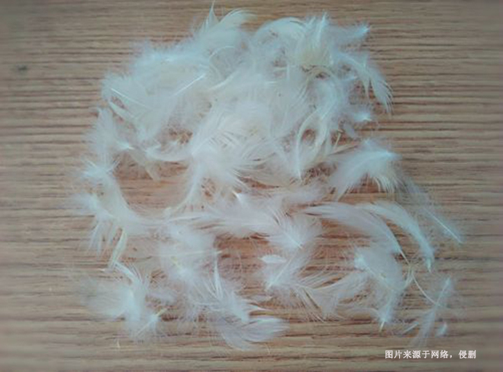 進(jìn)口馬來(lái)西亞水洗鴨毛報(bào)關(guān)流程到上海外高橋案例