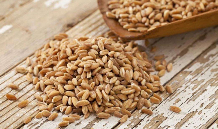 中國(guó)允許俄羅斯小麥進(jìn)口