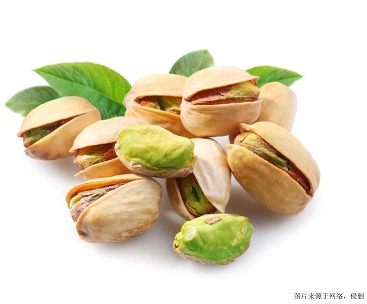 東莞食品進口報關(guān)_伊朗開心果進口全面解析