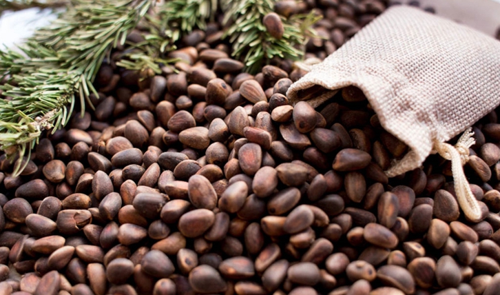 松子進口清關公司