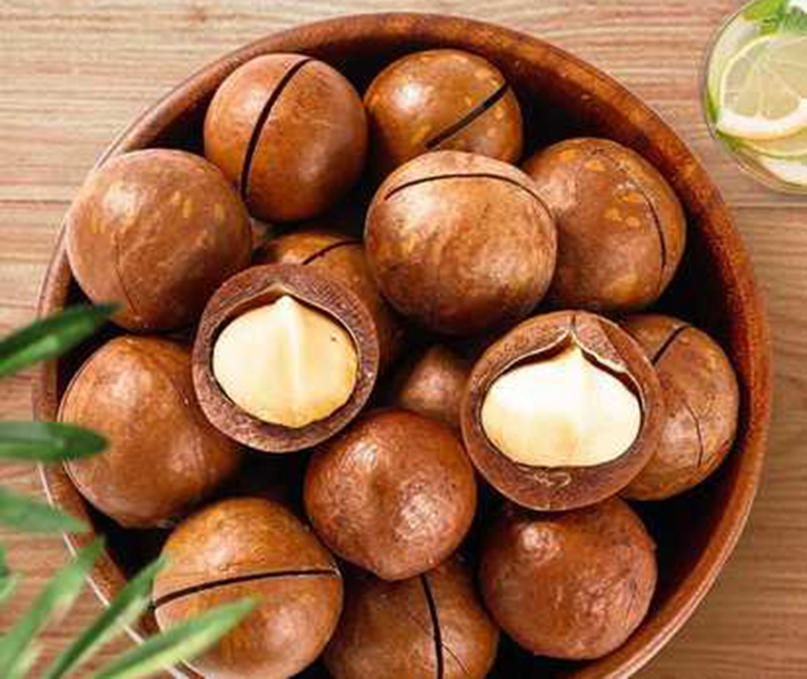 廣州進口泰國夏威夷果報關