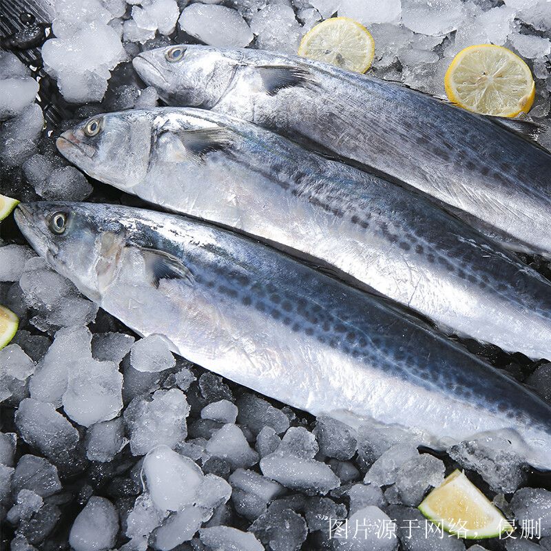 越南進口冰鮮魚清關流程