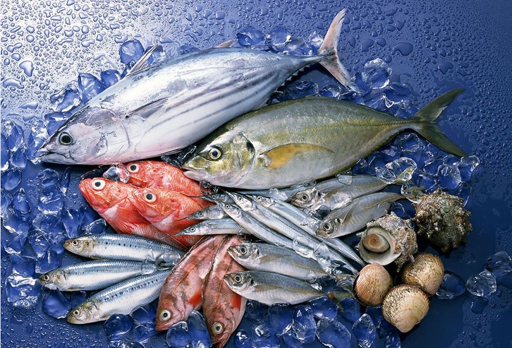 美國(guó)冷凍魚水產(chǎn)品進(jìn)口清關(guān)關(guān)稅_青島港水產(chǎn)品報(bào)關(guān)