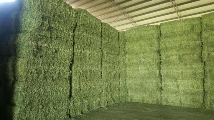 武漢進口西班牙苜蓿草報關(guān)資料6樣-飼料通關(guān)要點