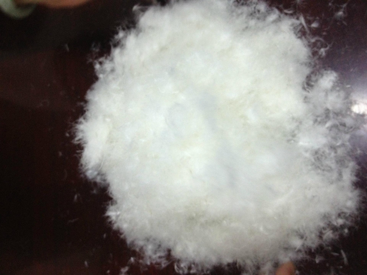 波蘭羽絨進口報關流程_波蘭準入水洗羽絨羽毛企業