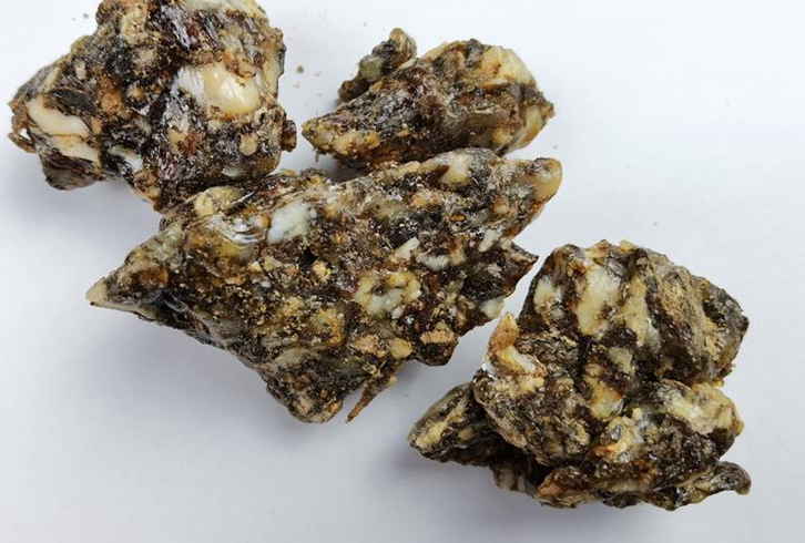 進口德國安息香報關資料_植物源性中藥材進口貨代