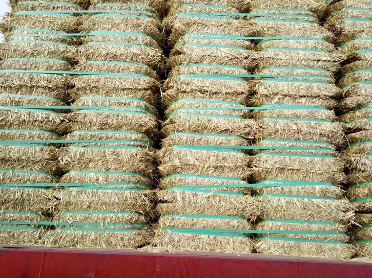 澳大利亞燕麥草進(jìn)口報(bào)關(guān)資料_飼料清關(guān)注意事項(xiàng)