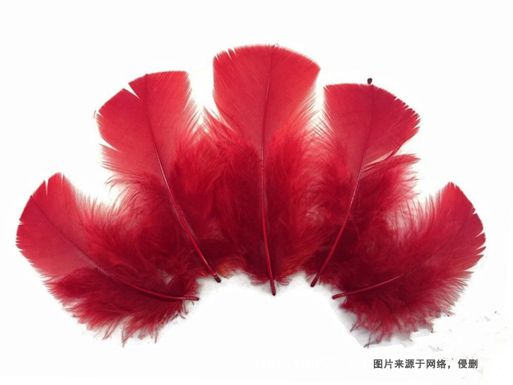 泰國進(jìn)口火雞毛報(bào)關(guān)流程