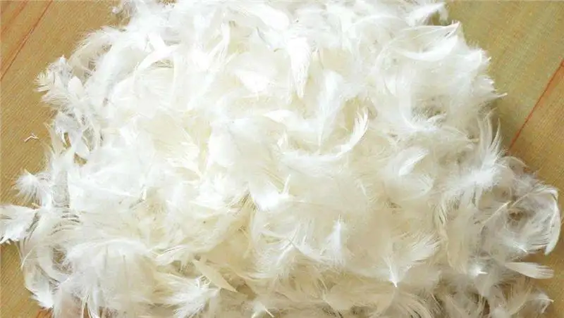 匈牙利羽絨鴨毛進(jìn)口報(bào)關(guān)資料