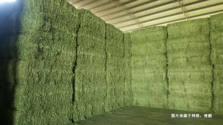 廣州進口哈薩克斯坦苜蓿草報關資料-飼料通關要點