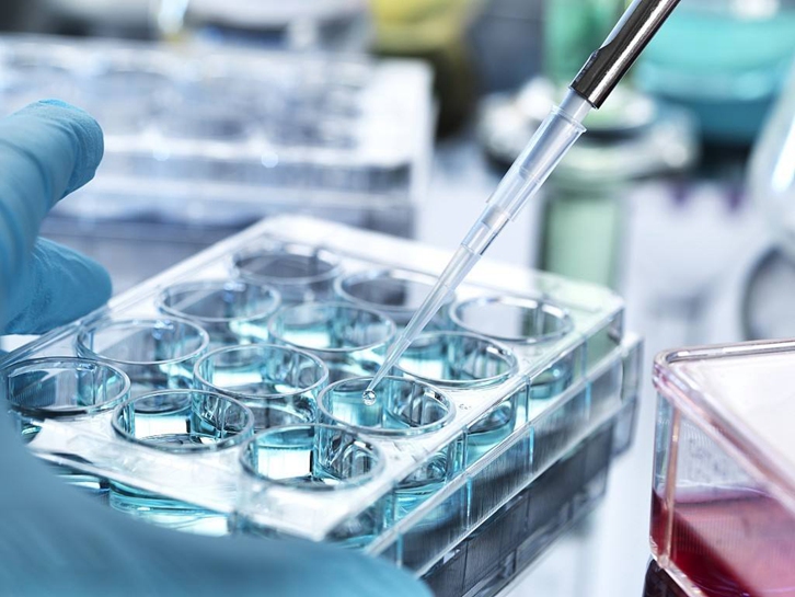 青島科研生物細(xì)胞進(jìn)口報(bào)關(guān)費(fèi)用