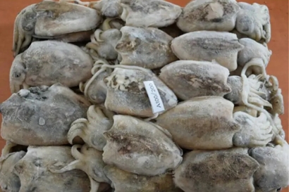 馬來西亞冷凍墨魚進(jìn)口報(bào)關(guān)流程到上海外高橋案例