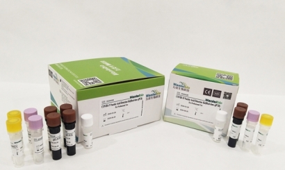 美國進口生物試劑報關常見問題，你要了解的