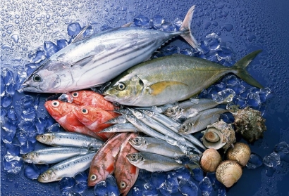 冷凍魚進口報關(guān)貨代公司_全球進口門到門服務(wù)