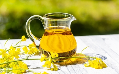 進口菜籽油報關(guān)的詳細流程，get！