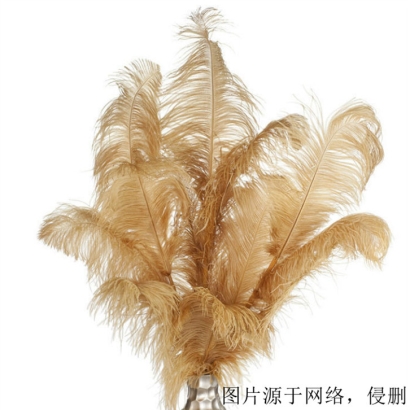 英國水洗鴕鳥羽毛進(jìn)口報(bào)關(guān)資料_羽絨清關(guān)注意事項(xiàng)