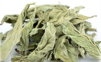 干薄荷葉進(jìn)口報關(guān)的流程是怎樣的？