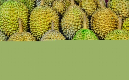 馬來西亞榴蓮進口報關代理一站式服務公司-全國聯網為您服務