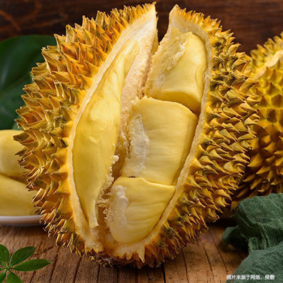 廣州進口泰國榴蓮海運報關流程門到門-海運專業食品進口報關清關