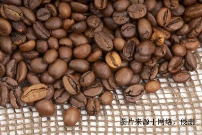 印尼進(jìn)口報關(guān)行哪家好？印度尼西亞可可豆清關(guān)資料