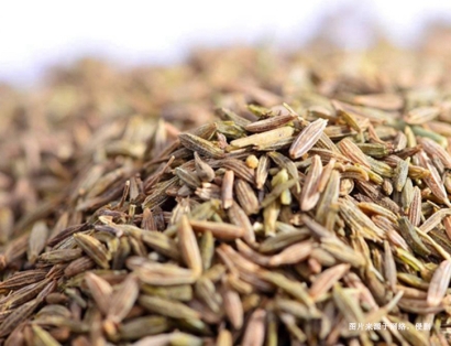 德國(guó)枯茗子進(jìn)口清關(guān)資料_青島進(jìn)口孜然香料報(bào)關(guān)流程