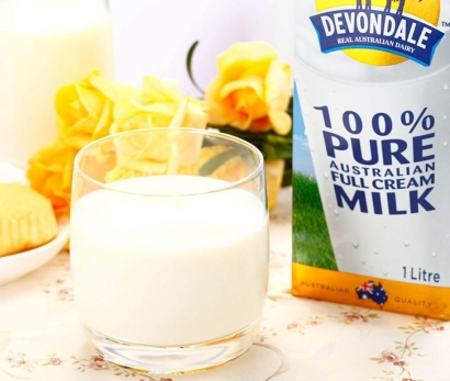 乳制品進口報關(guān)流程一站式進口代理門到門