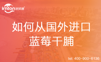 如何從國(guó)外進(jìn)口藍(lán)莓干脯