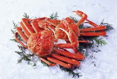 上海帝王蟹進口清關代理服務