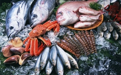 進口水產品報關監(jiān)管條件以及申報要素