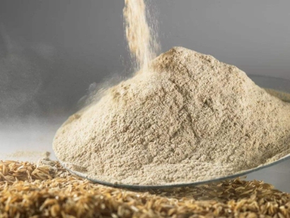 哈薩克斯坦麥麩進口報關費用_植物源性飼料準入種類