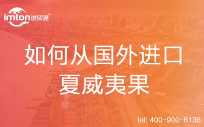 如何從國外進(jìn)口夏威夷果