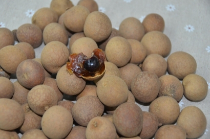 緬甸龍眼進口清關流程_新鮮水果進口報關單證資料