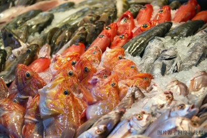 水產(chǎn)品進口清關(guān)報關(guān)報費用流程_加拿大金線魚報關(guān)