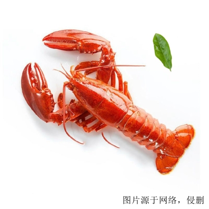 龍蝦進(jìn)口怎么清關(guān)？加拿大龍蝦進(jìn)口報關(guān)的流程單證