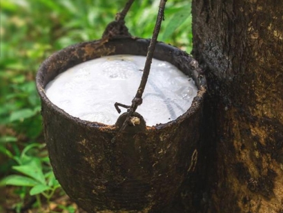 在大連橡膠進口清關流程怎么樣？越南橡膠進口關稅