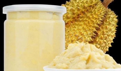 印尼冷凍榴蓮醬進口報關(guān)資料到廣州南沙保稅區(qū)案例