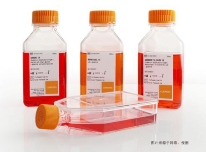 美國細(xì)胞培養(yǎng)試劑進(jìn)口報(bào)關(guān)費(fèi)用_生物試劑特殊物品申報(bào)