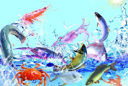 越南生鮮進(jìn)口清關(guān)流程及費用詳解：有哪些細(xì)節(jié)需要注意？