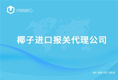 椰子進(jìn)口報關(guān)代理公司