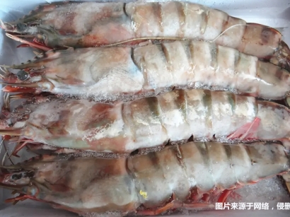 冷凍去頭明對蝦進(jìn)口報關(guān)的注意事項有這3點(diǎn)