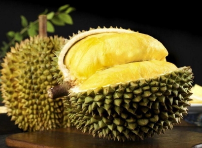 馬來西亞榴蓮進(jìn)口報(bào)關(guān)資料7樣_貓山王榴蓮關(guān)稅