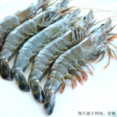 湛江進口南美白對蝦清關流程_冷凍蝦進口報關費用