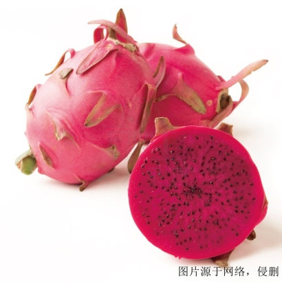 進口火龍果清關(guān)費用流程_深圳進口越南火龍果報關(guān)行