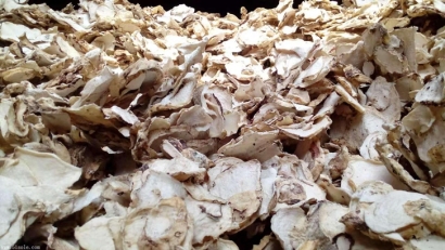 印尼魔芋可以進(jìn)口嗎？魔芋干進(jìn)口報(bào)關(guān)準(zhǔn)入國(guó)