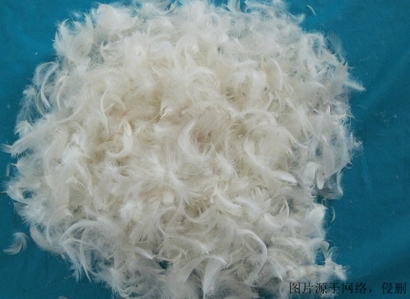 越南水洗鴨毛進(jìn)口報(bào)關(guān)資料_上海羽絨進(jìn)口清關(guān)流程