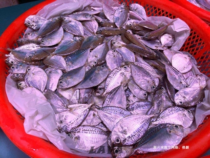 厄瓜多爾到佛山南海冷凍葉子魚進口報關流程費用