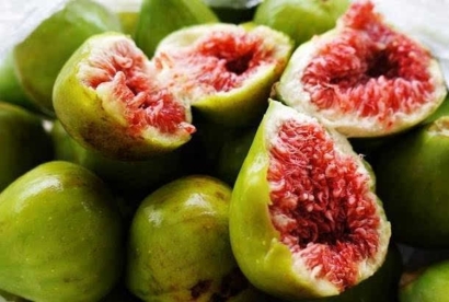 美國(guó)無(wú)花果進(jìn)口報(bào)關(guān)公司告訴你清關(guān)及檢驗(yàn)程序