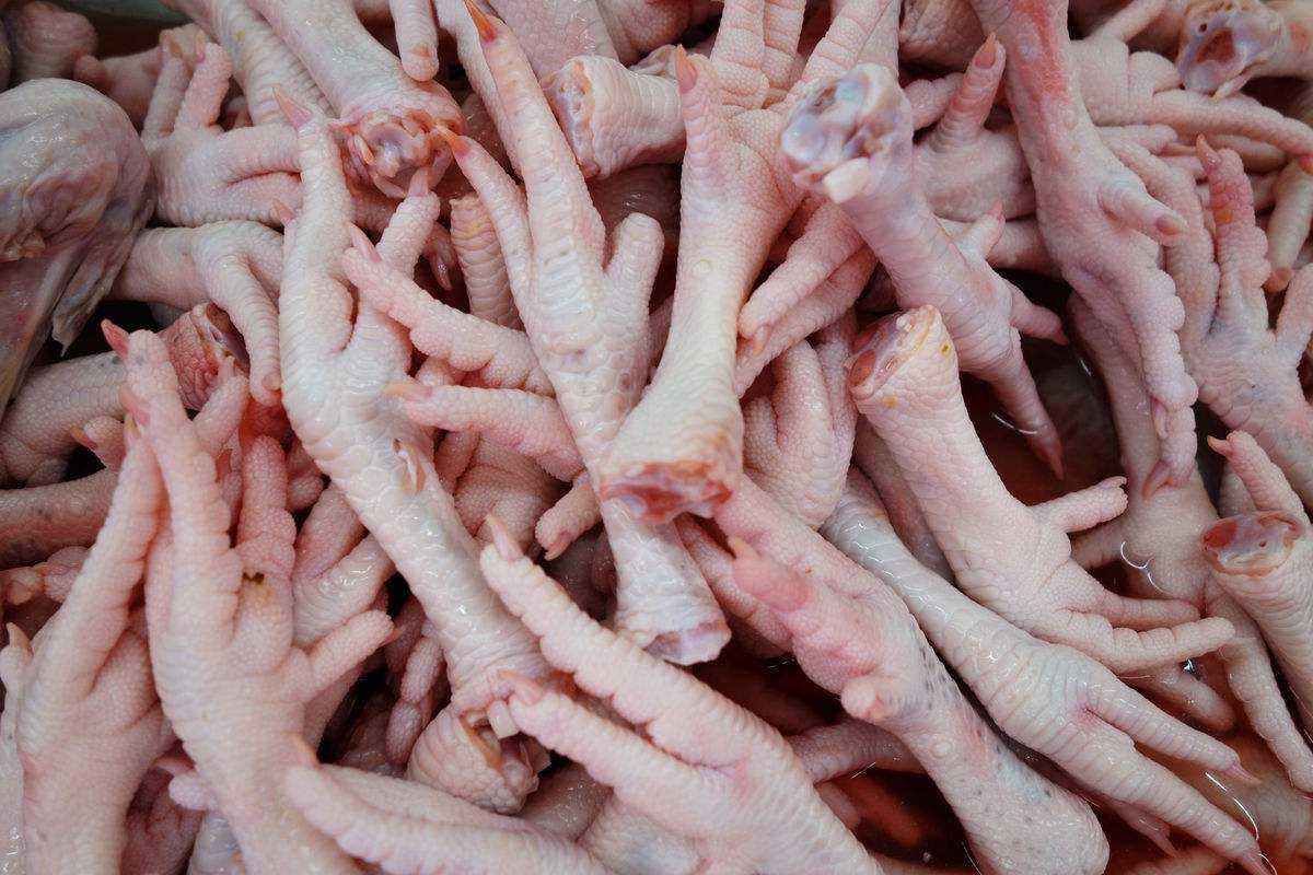 天津雞爪進(jìn)口報關(guān)費(fèi)用