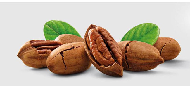 墨西哥碧根果進(jìn)口報(bào)關(guān)流程 墨西哥碧根果進(jìn)口報(bào)關(guān)流程